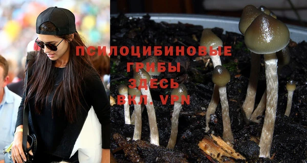 дмт Зеленодольск