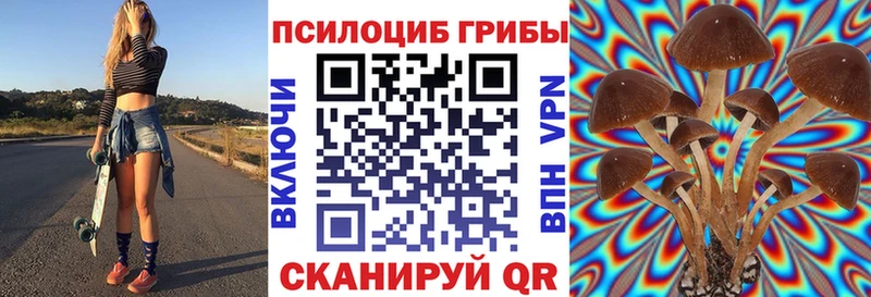 Купить закладки  Хадыженск  Галлюциногенные грибы мухоморы 