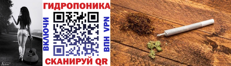 Каннабис индика  Купить где  Хадыженск 